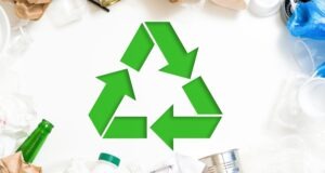 The Importance of Waste Management Systems | Reaction Distributing